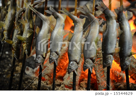 鮎の炭火焼き 15544629
