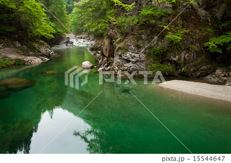 新緑の双六川 飛騨高山 15544647