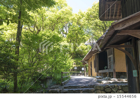 四国村　旧河野家住宅 15544656