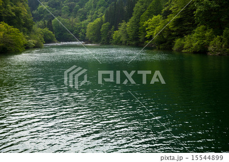 新緑の双六ダム湖 飛騨高山 15544899