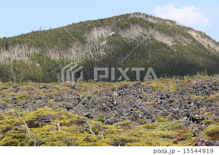 北八ヶ岳の縞枯山 北八ヶ岳の縞枯山 15544919