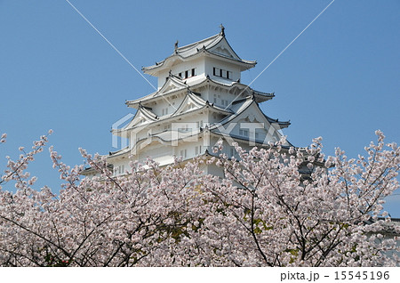 東側からの姫路城 15545196