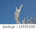 高見山の樹氷 15545200