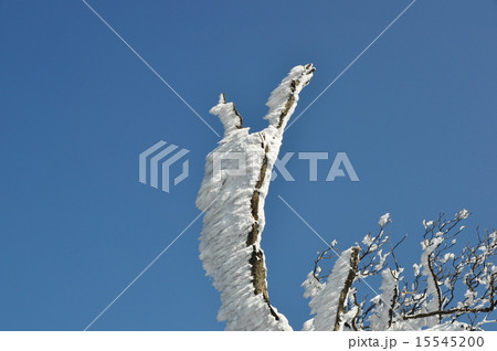 高見山の樹氷 15545200