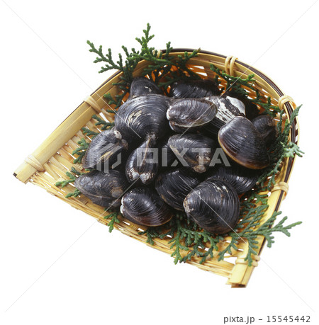しじみ 15545442