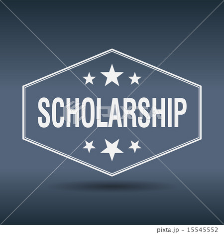 scholarship hexagonal vintage retro style label scholarship hexagonal vintage retro style label 15545552