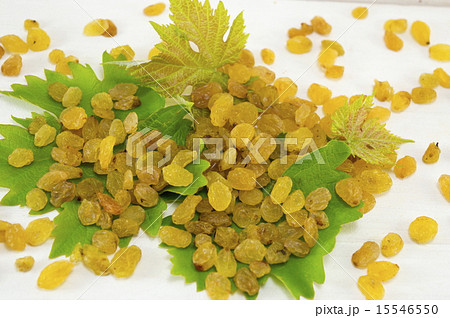 Raisins on the grape leaf 15546550