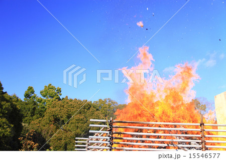 1月奈良　春日の大とんど・焚き上げ 15546577