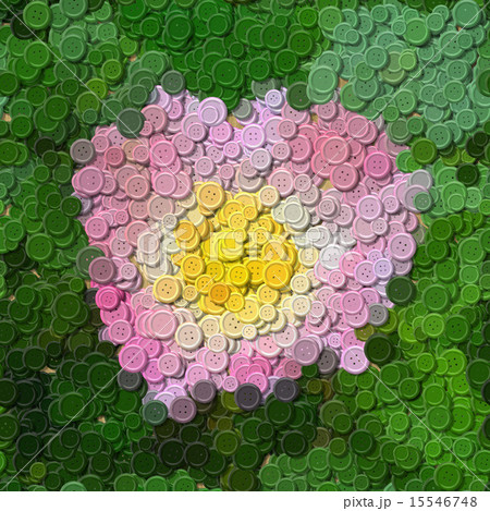 Pink rose sewing buttons image background 15546748
