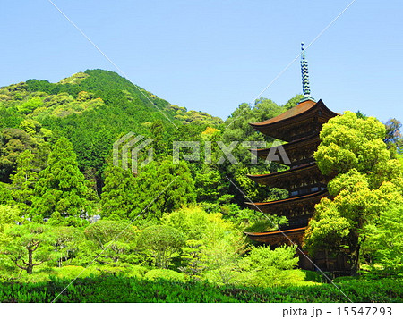 瑠璃光寺五重塔 15547293