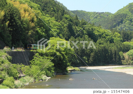 水郡線「初夏の新緑と清流久慈川」 15547406