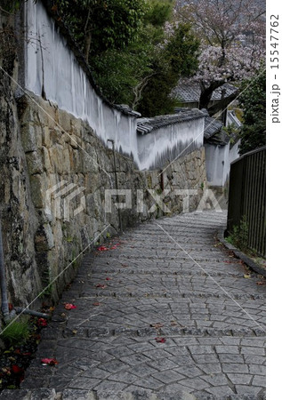 坂の街 15547762