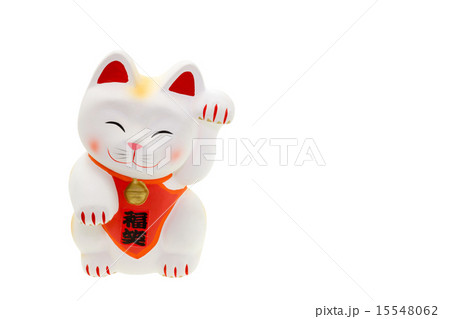招き猫 招き猫 15548062