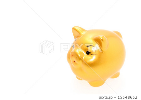 金色のブタ 金色のブタ 15548652