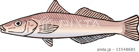 キス キス 15548685