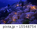 吉野山の桜 15548754