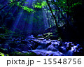 赤目四十八滝 光芒 15548756