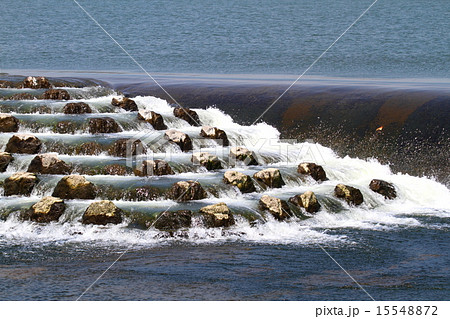 魚道・・3 魚道・・3 15548872