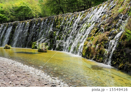 花の都公園・明神の滝 花の都公園・明神の滝 15549416