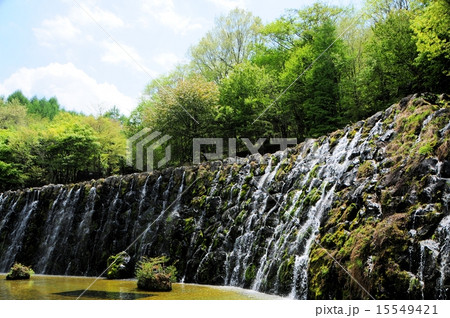 花の都公園・明神の滝 花の都公園・明神の滝 15549421