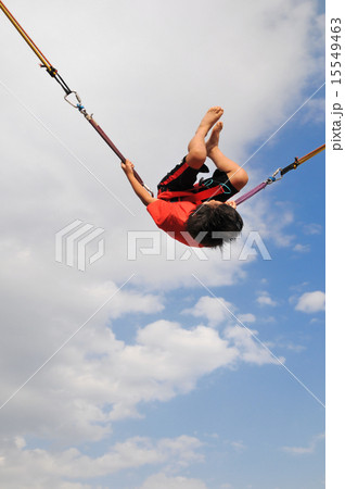 バンジートランポリン バンジートランポリン 15549463