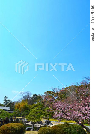 二条城 清流園 二条城 清流園 15549560