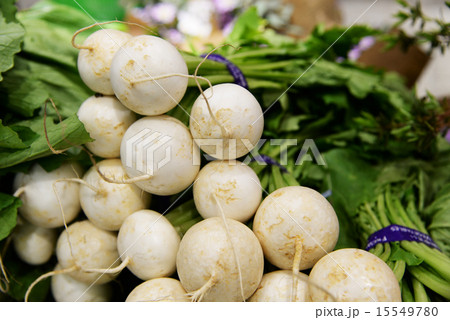 丸大根　 15549780