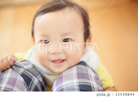 1 year old 15549844