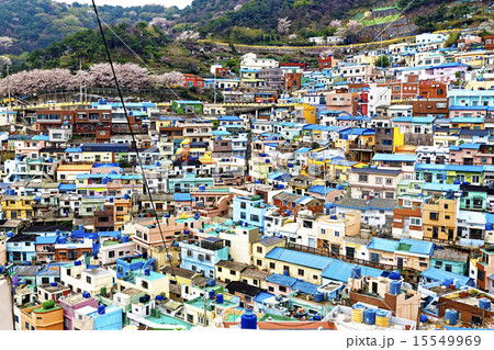 Gamcheon Culture Village, Busan Gamcheon Culture Village, Busan 15549969