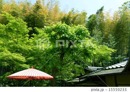 茶店　高台寺　京都 15550233