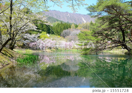 半田山自然公園 春繚乱 半田山自然公園 春繚乱 15551728