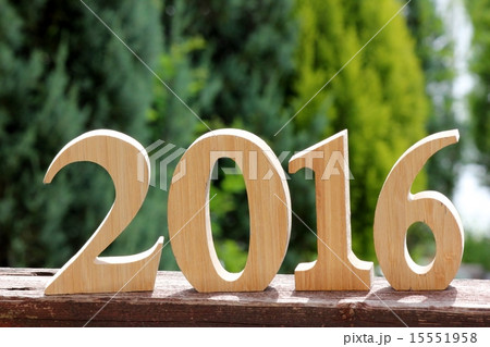 年号　2016 15551958