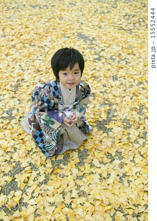 七五三(5歳) 七五三(5歳) 15552444