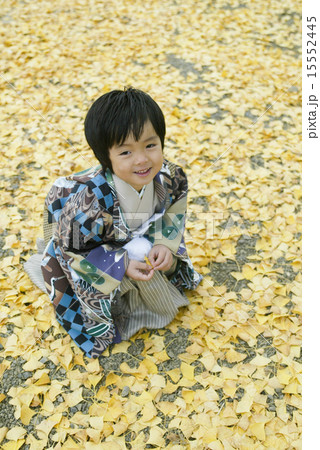 七五三(5歳) 七五三(5歳) 15552445