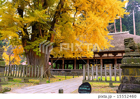 新宮熊野神社の長床(国指定重要文化財) 15552460