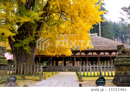 新宮熊野神社の長床(国指定重要文化財) 15552461