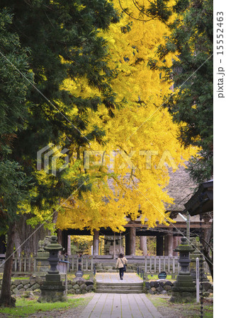 新宮熊野神社の長床(国指定重要文化財) 15552463