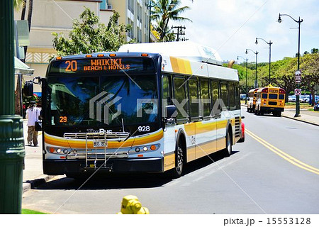 ハワイの休日 15553128