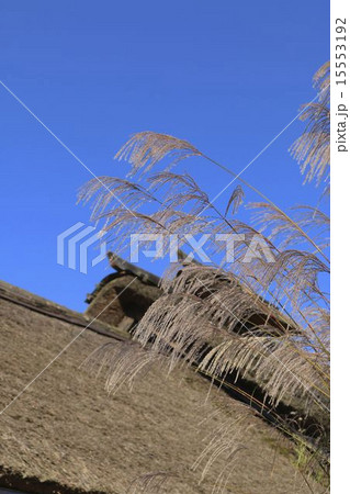 大内宿の秋 15553192