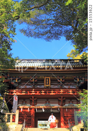 3月静岡 久能山東照宮・楼門 15553622