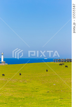 牧場 灯台のある風景 牧場 灯台のある風景 15555587