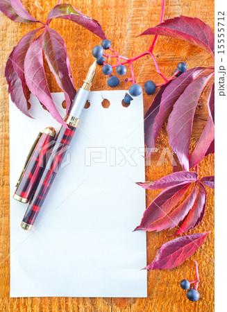 autumn background 15555712