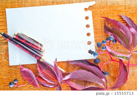 autumn background 15555713