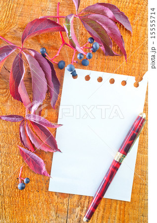 autumn background 15555714