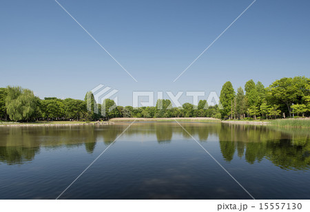 洞峰公園 洞峰公園 15557130