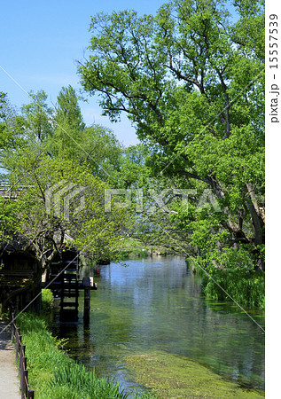 清流の水車小屋 15557539