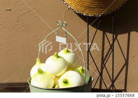 初夏のたより 淡路島の新玉ねぎ 初夏のたより 淡路島の新玉ねぎ 15557668