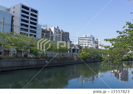 大岡川沿いの風景 大岡川沿いの風景 15557823
