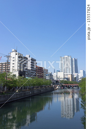 大岡川沿いの風景 15557824