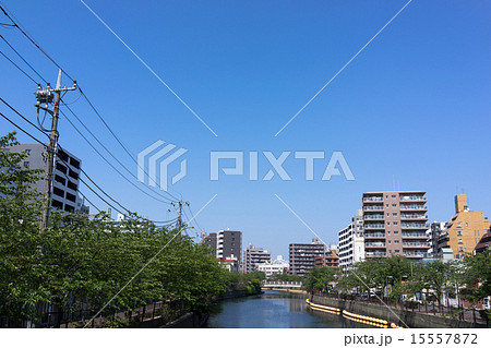 大岡川沿いの風景 大岡川沿いの風景 15557872